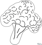 ka broccoli Nā ʻaoʻao Kala Hiki Ke Paʻi ʻia